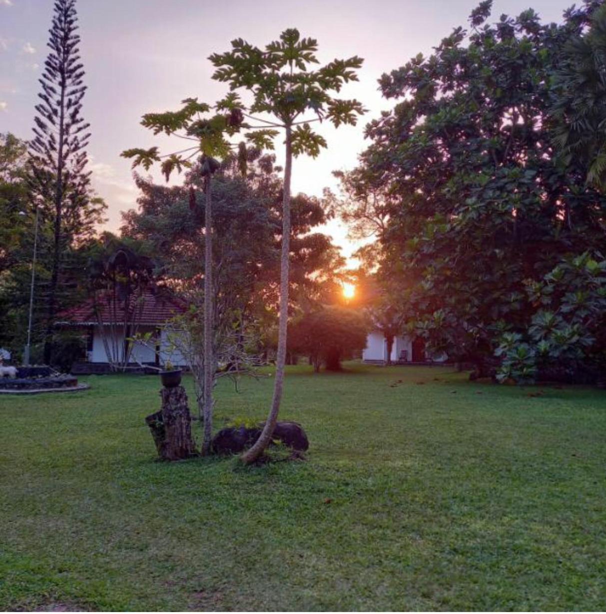 Subodinee Bungalow Weligama Kültér fotó